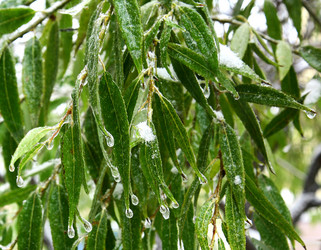 Similar image 6605045