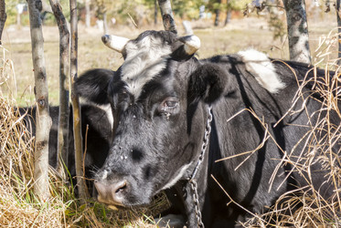 Similar image 6605053