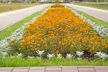 Similar image 6605065