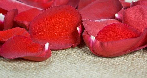 Similar image 6605170