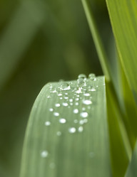 Similar image 6605193