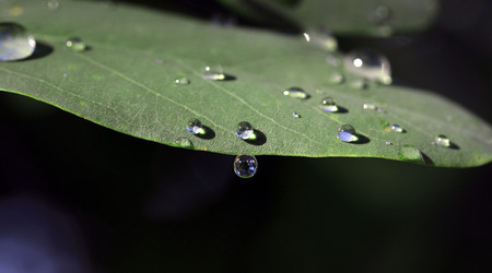 Similar image 6605196