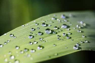 Similar image 6605197