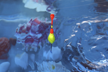 Similar image 6605207