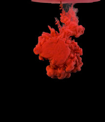 Similar image 6605260