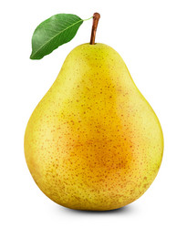 Similar image 6605289