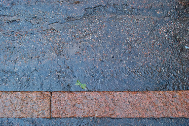 Similar image 6605424