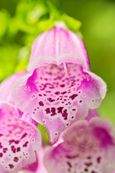 Similar image 6605455