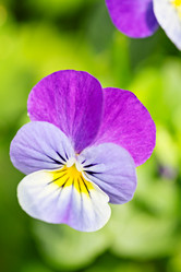 Similar image 6605457