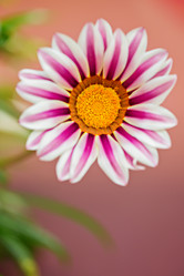 Similar image 6605461