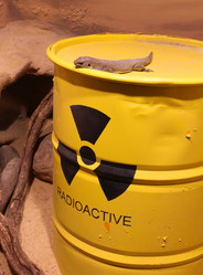 Similar image 6605475