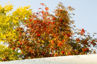 Similar image 6605715