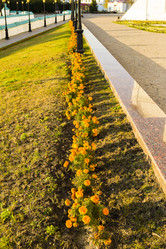 Similar image 6605801