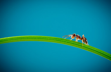 Similar image 6606019