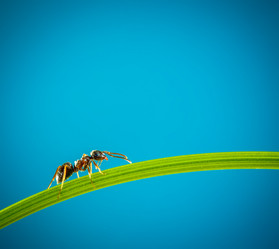 Similar image 6606020