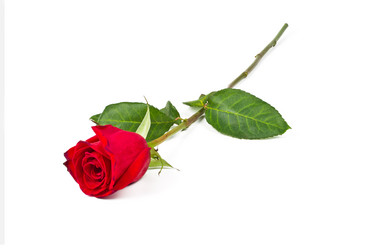 Similar image 6606086