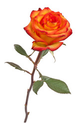 Similar image 6606087