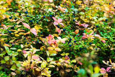 Similar image 6606141