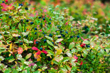 Similar image 6606147