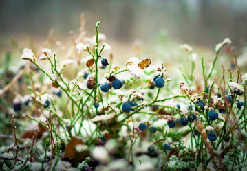 Similar image 6606149