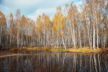 Similar image 6606235