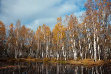 Similar image 6606236