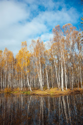 Similar image 6606237