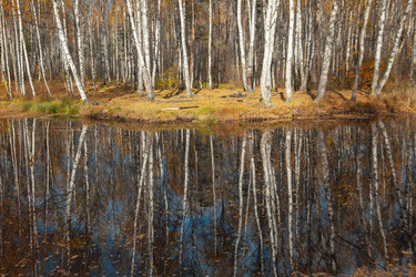 Similar image 6606238