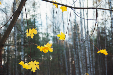 Similar image 6606258