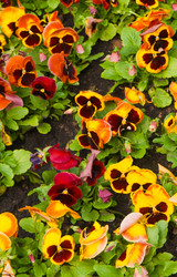 Similar image 6606410