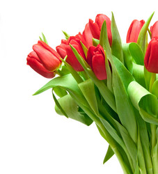 Similar image 6606411