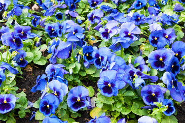 Similar image 6606418