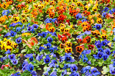 Similar image 6606419