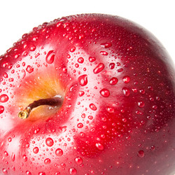 Similar image 6606421