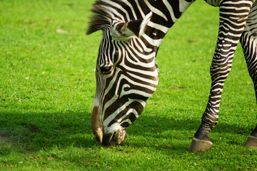 Similar image 6606422