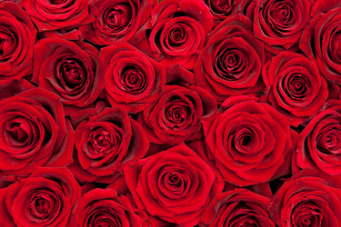 Similar image 6606423