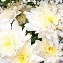 Similar image 6606427