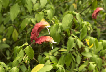 Similar image 6606428