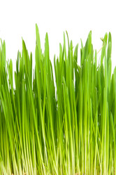 Similar image 6606429