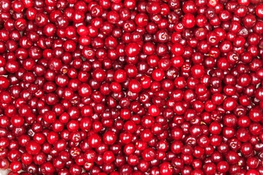 Similar image 6606438