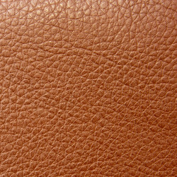 Similar image 6606442