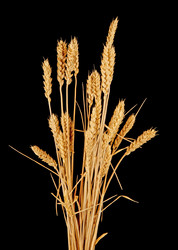 Similar image 6606446