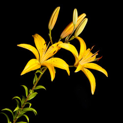 Similar image 6606447