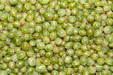 Similar image 6606451