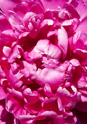 Similar image 6606457