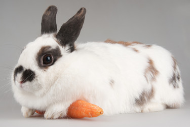 Similar image 6606458