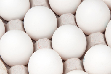 Similar image 6606460