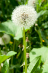 Similar image 6606461