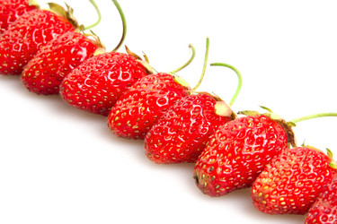 Similar image 6606462