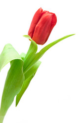 Similar image 6606463